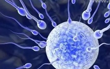 长沙哪家医院做试管成功率高？中信湘雅国内排名第几？