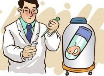 4bb囊胚解冻复苏成6bb，移植后却未着床是什么原因？