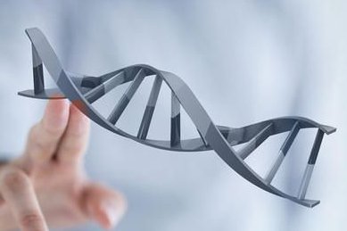 2026年河南省哪个医院做试管比较有名？