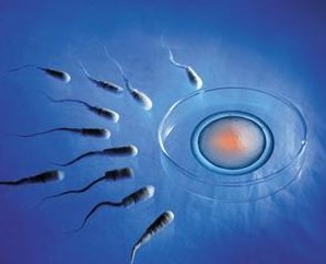 胚胎移植后哪些情况暗示着床成功？几天可以测出来怀孕？