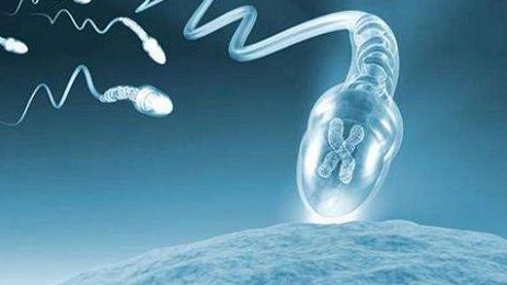 女性有染色体罗氏易位在扬州市做试管养囊成功率高吗？试管移植后需要保胎吗！