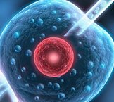 打促排药果纳芬的常见不良反应汇总，不同症状解决方法不同