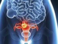 试管婴儿费用多少？泰国曼谷医院详细费用分解及影响因素探讨！