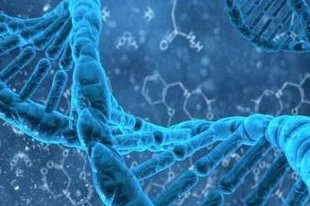 孕酮低对生育有什么影响？要注意什么？