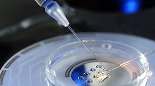 子宫肌瘤做试管移植冻胚成功率是多少？