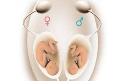 在解放军第901医院做试管婴儿要多少钱？成功率怎么样？附试管怀孕机构名单一览