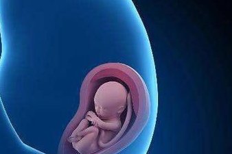 福建地区有哪些私立的机构可以做试管技术？tct异常可以做试管胚胎移植吗,移植前的检查项目多吗？